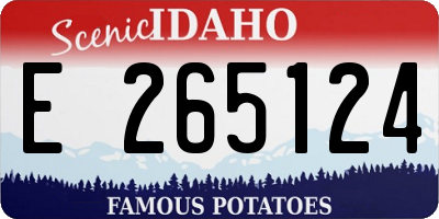 ID license plate E265124