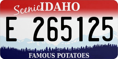 ID license plate E265125