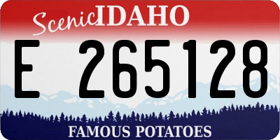 ID license plate E265128