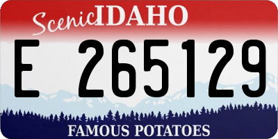 ID license plate E265129