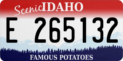 ID license plate E265132