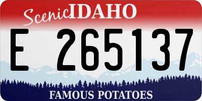 ID license plate E265137