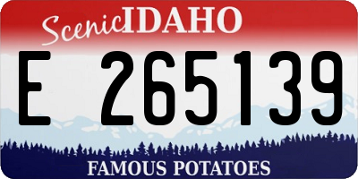 ID license plate E265139