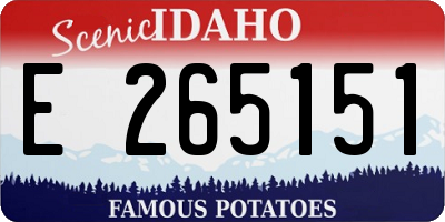 ID license plate E265151