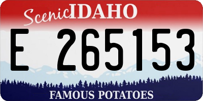 ID license plate E265153