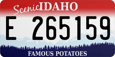 ID license plate E265159