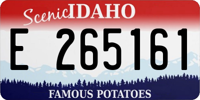 ID license plate E265161