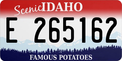 ID license plate E265162