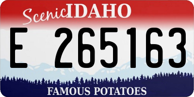 ID license plate E265163