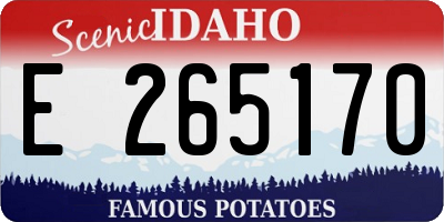 ID license plate E265170