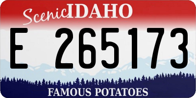 ID license plate E265173