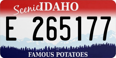 ID license plate E265177