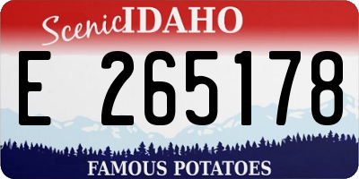 ID license plate E265178