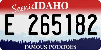 ID license plate E265182