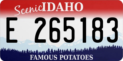 ID license plate E265183
