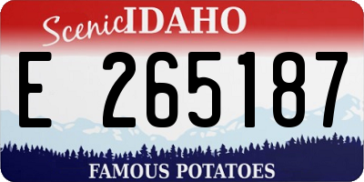 ID license plate E265187