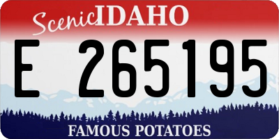 ID license plate E265195