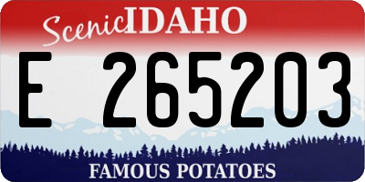 ID license plate E265203