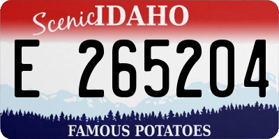 ID license plate E265204