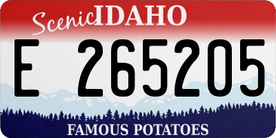 ID license plate E265205
