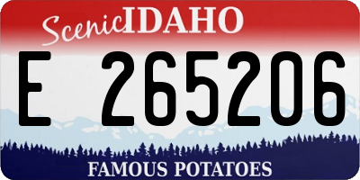 ID license plate E265206