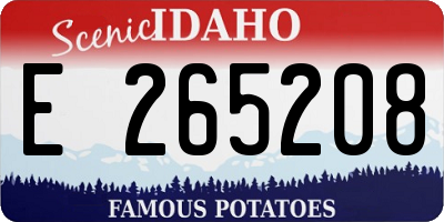 ID license plate E265208