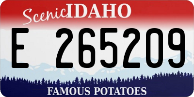 ID license plate E265209