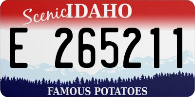 ID license plate E265211