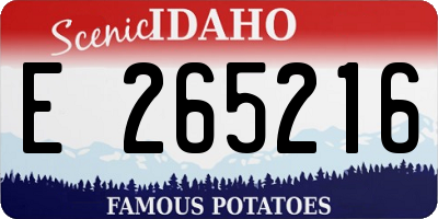 ID license plate E265216