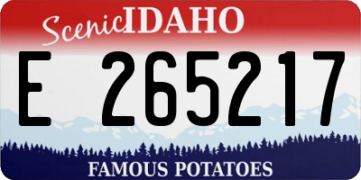 ID license plate E265217