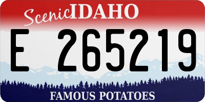 ID license plate E265219