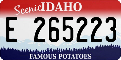 ID license plate E265223