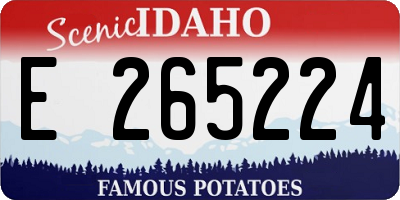 ID license plate E265224