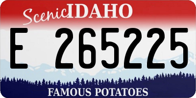 ID license plate E265225