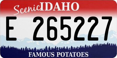 ID license plate E265227
