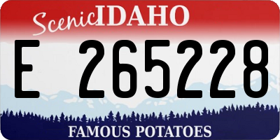 ID license plate E265228