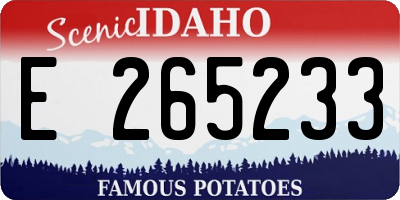 ID license plate E265233