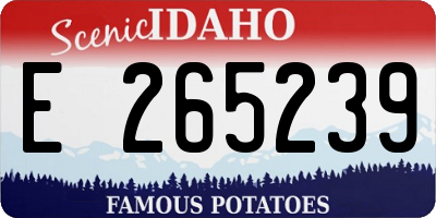 ID license plate E265239