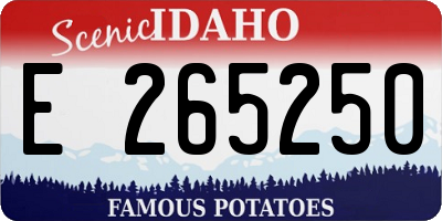ID license plate E265250