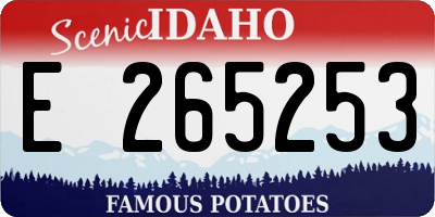 ID license plate E265253