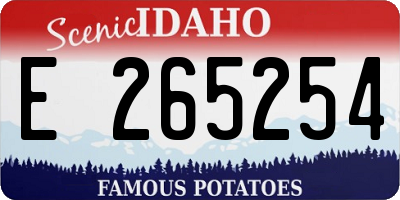 ID license plate E265254