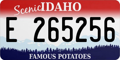 ID license plate E265256