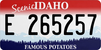 ID license plate E265257