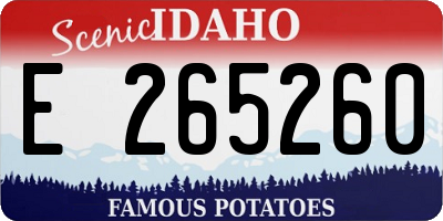 ID license plate E265260