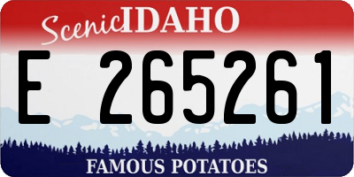 ID license plate E265261