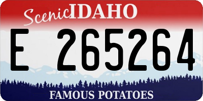ID license plate E265264