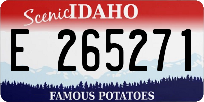 ID license plate E265271