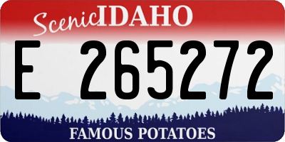 ID license plate E265272