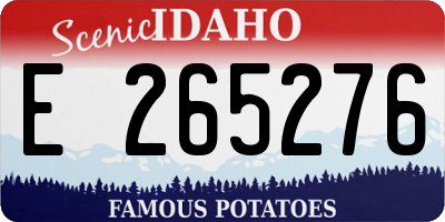 ID license plate E265276