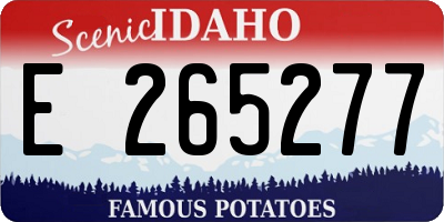 ID license plate E265277